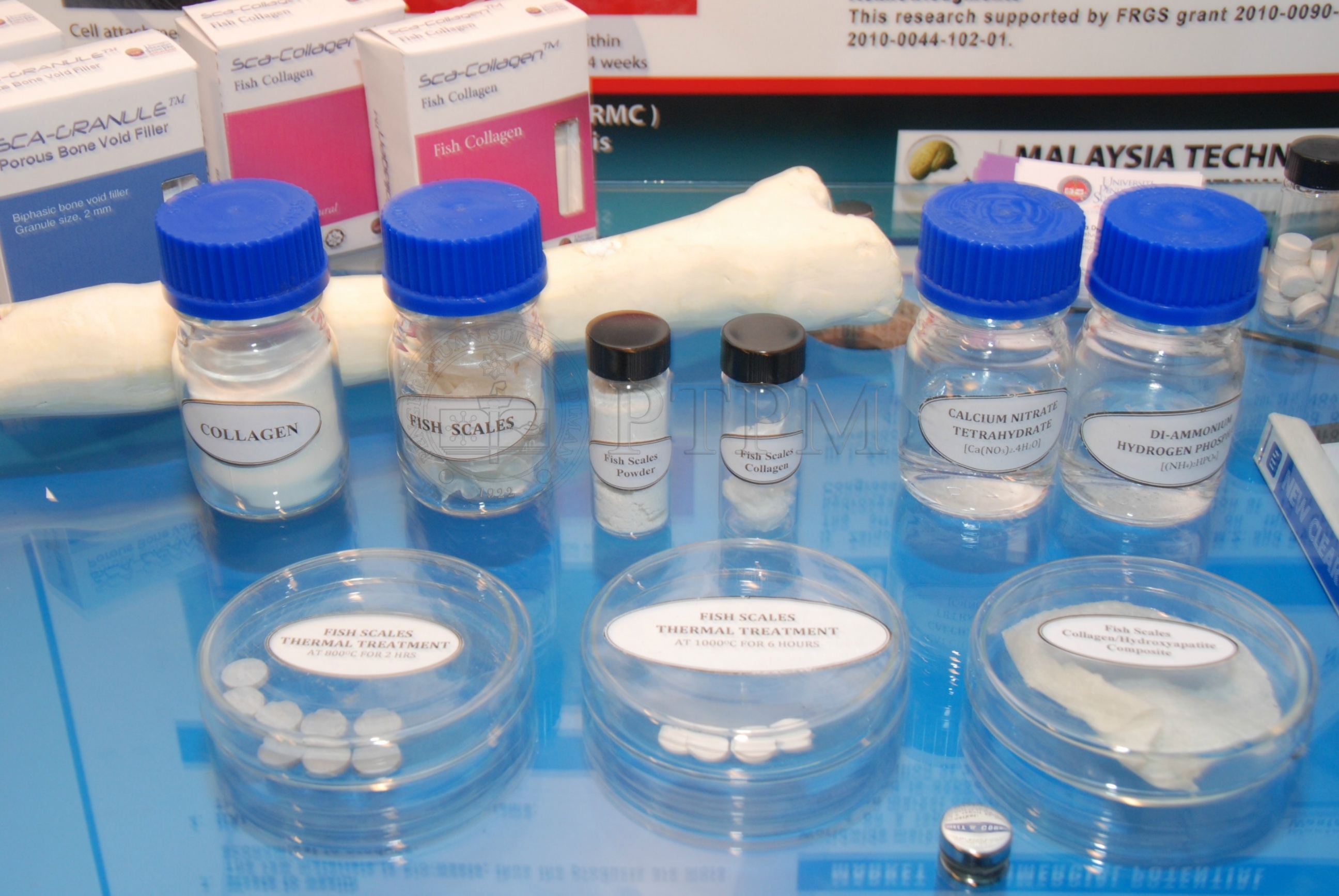 PTPM 12 11 MTE DSC 5894